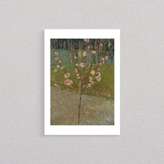 Almond Blossom, 1888, Poster