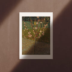 Almond Blossom, 1888, Poster