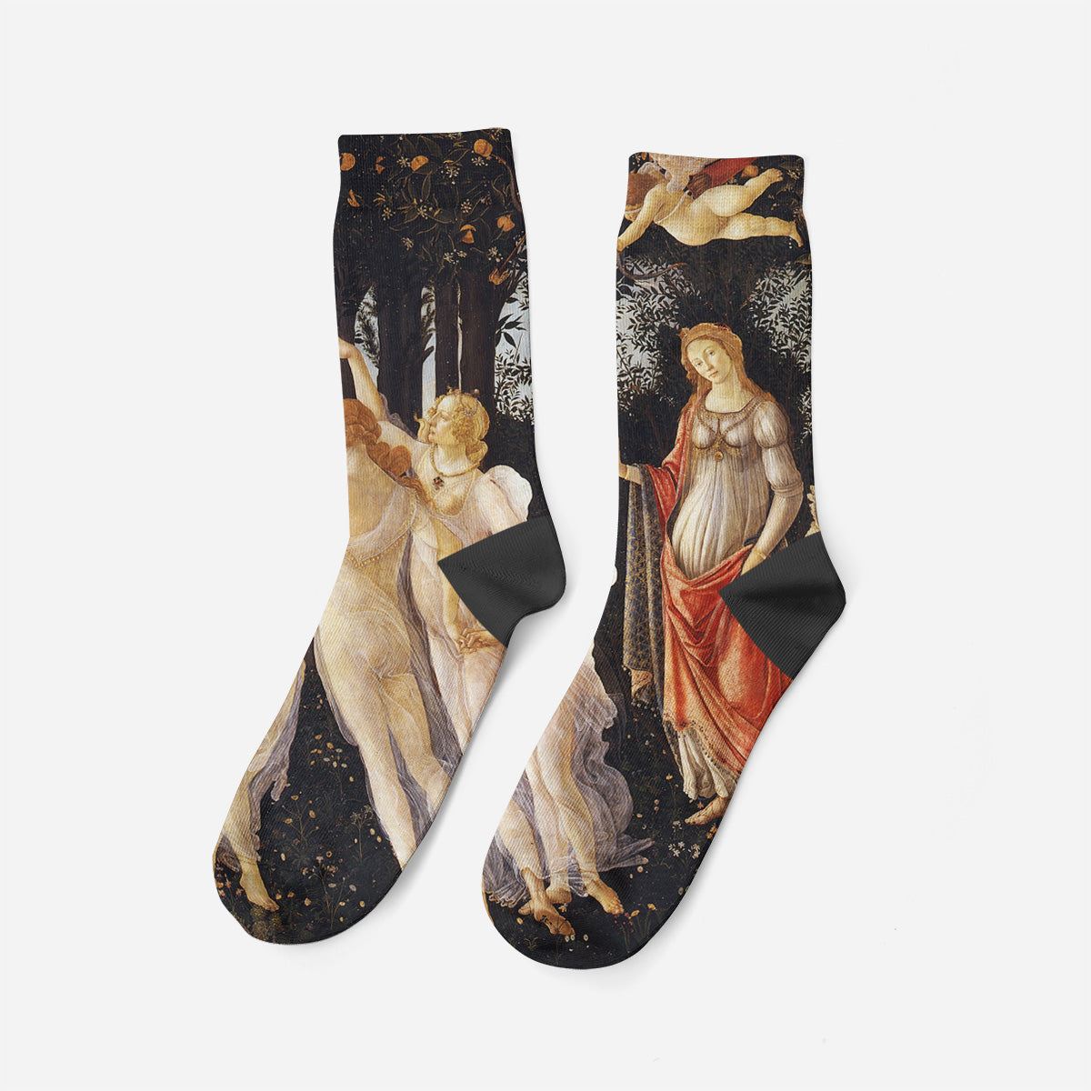 Primavera, 1477, Socks