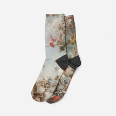 The Glorification of the Giustiniani Family, 1783, Socks