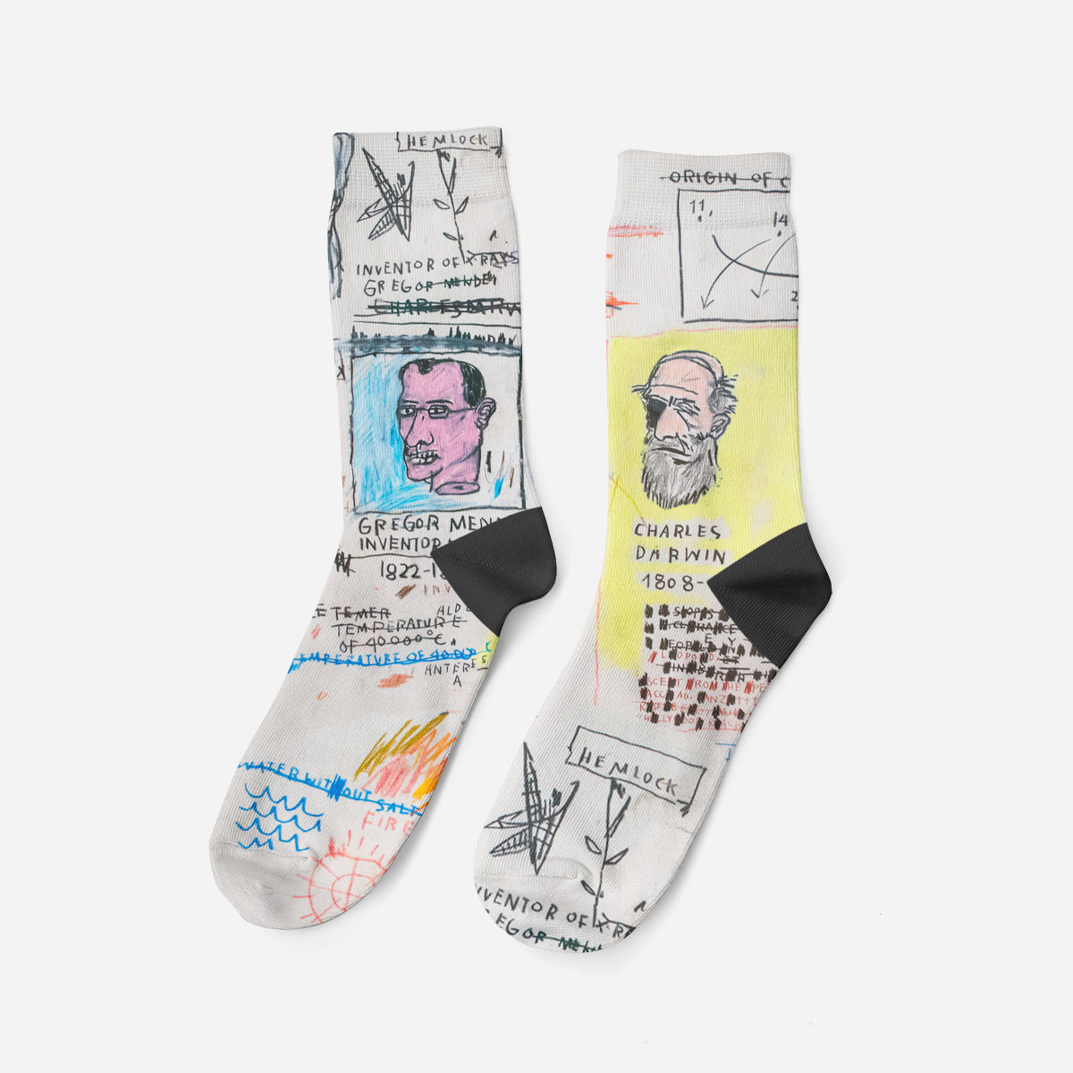 Charles Darwin, 1883, Socks