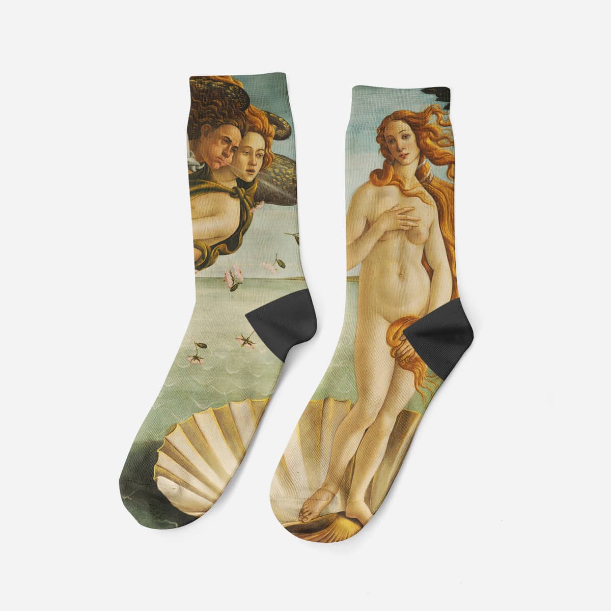 Birth of Venus, 1485, Socks