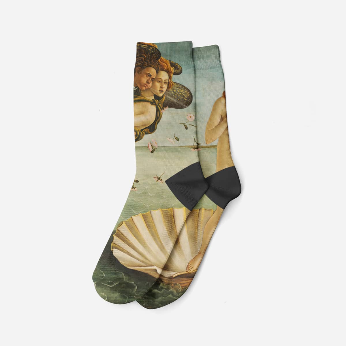 Birth of Venus, 1485, Socks