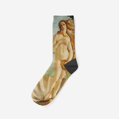 Birth of Venus, 1485, Socks